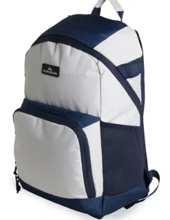 Quiksilver Pintail Backpack in Silver Birch