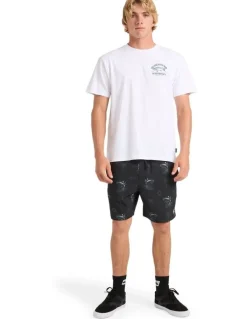 Quiksilver Atoll Volley Swim Shorts 18