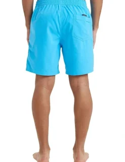 Quiksilver Everyday Swim Shorts 17 Inch in Blue
