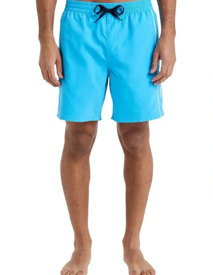 Quiksilver Everyday Swim Shorts 17 Inch in Blue