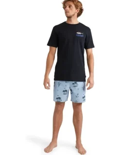 Quiksilver Horizon Haze Swim Shorts in Blue
