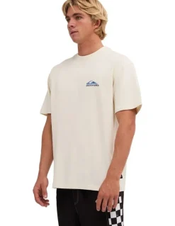 Quiksilver Quik Core Oversized T-Shirt In Bone White
