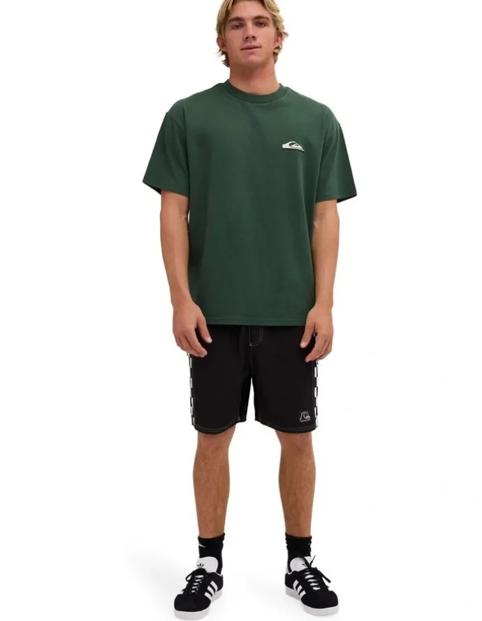 Quiksilver Quik Core Oversized T-Shirt In Forest