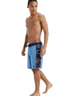 Quiksilver Surfsilk Boardshorts 19 Inch in Blue