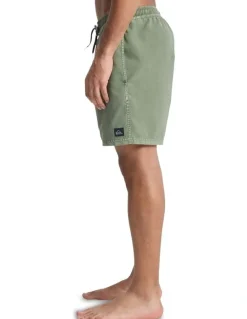 Quiksilver Surfwash 17 Inch Swim Shorts in Green