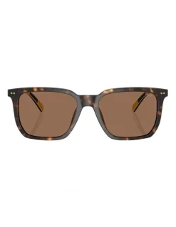 Ralph Lauren Acetate Sunglasses in Tortoise