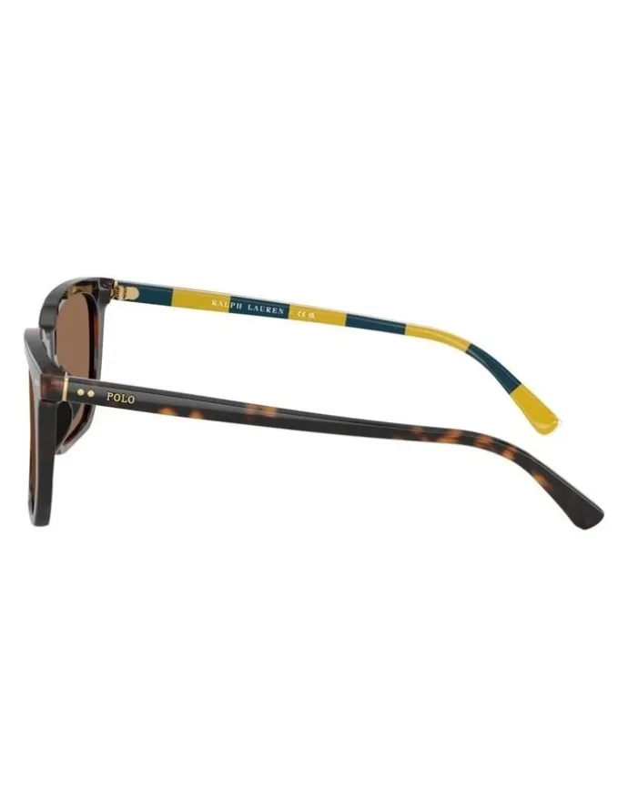 Ralph Lauren Acetate Sunglasses in Tortoise