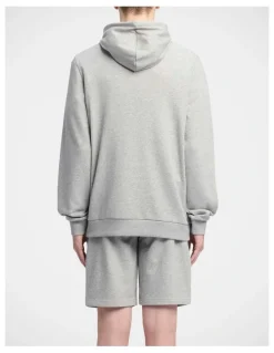 Reebok Ri Left Chest Logo Hood In Mgrey Heather/Vector Red