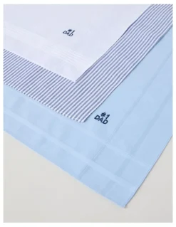 Regatta 3pk Hankies #1 Dad in Multi