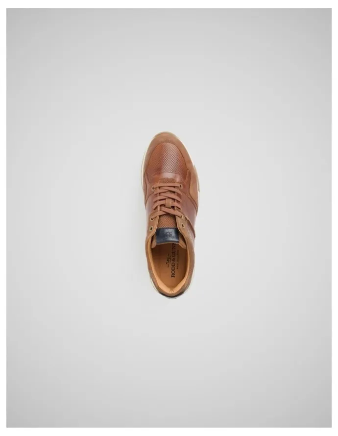 Rodd & Gunn Albury Sneaker in Cognac