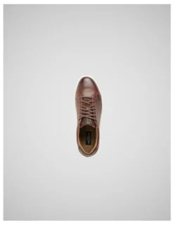 Rodd & Gunn Transit Sneaker in Chestnut
