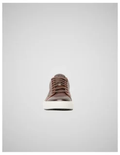 Rodd & Gunn Transit Sneaker in Chestnut