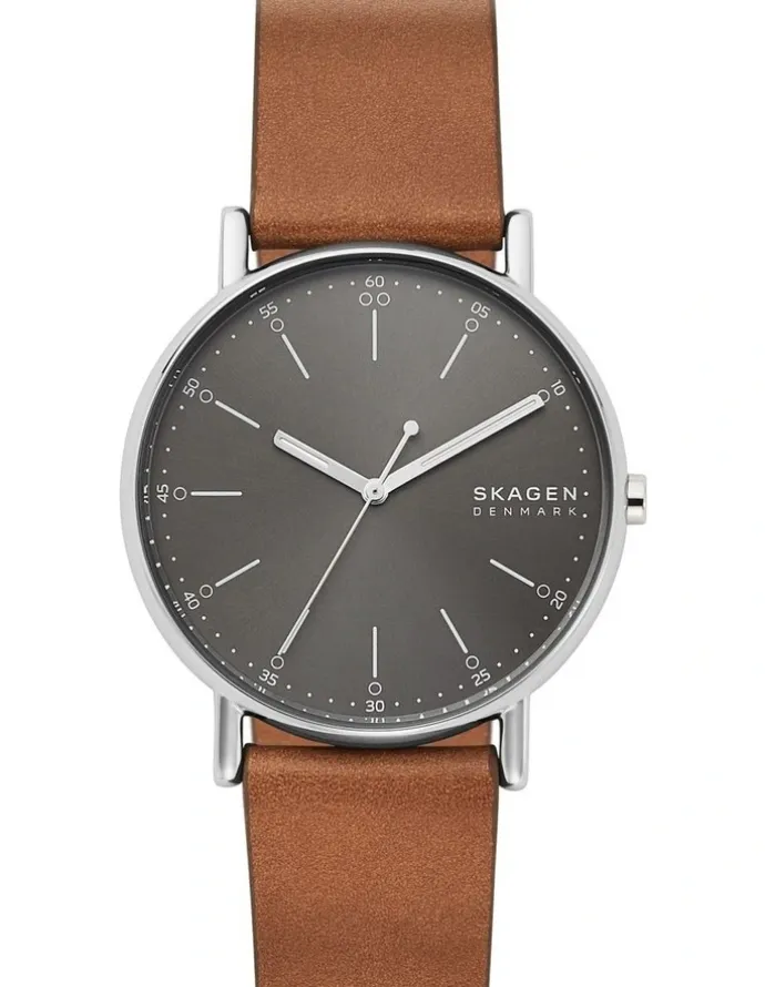 Skagen Signatur Analogue Watch