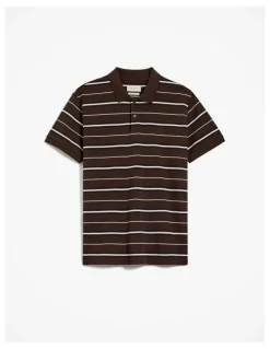 Trenery Australian Cotton Pique Stripe Polo in Coffee
