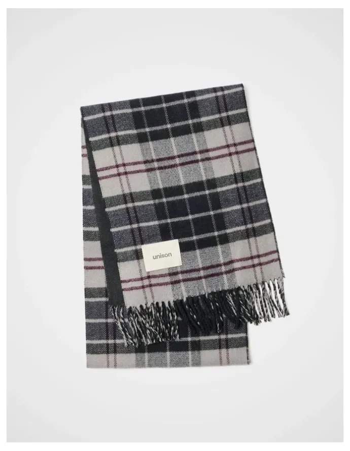 Unison Check Scarf in Multi