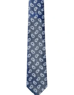 Van Heusen Paisley Tie in Navy