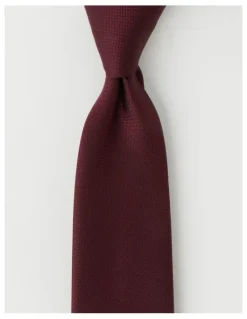 Van Heusen Plain Tie in Burgandy