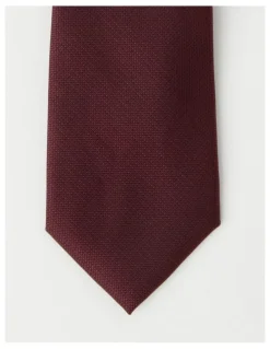 Van Heusen Plain Tie in Burgandy