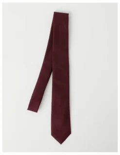 Van Heusen Plain Tie in Burgandy