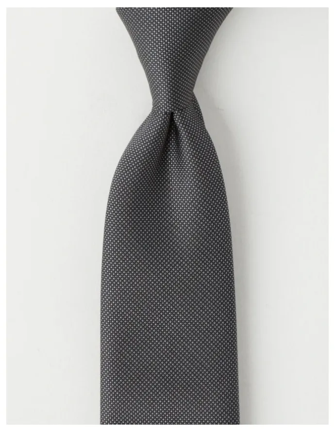 Van Heusen Plain Tie in Grey
