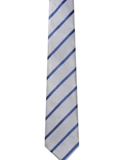 Van Heusen Stripe Tie in Grey