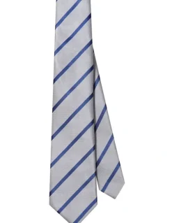 Van Heusen Stripe Tie in Grey
