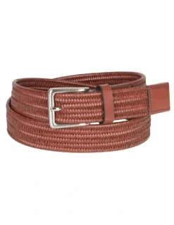 Van Heusen Woven Stretch Belt in Tan