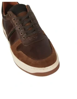 Wild Rhino Sahara Sneaker in Brown
